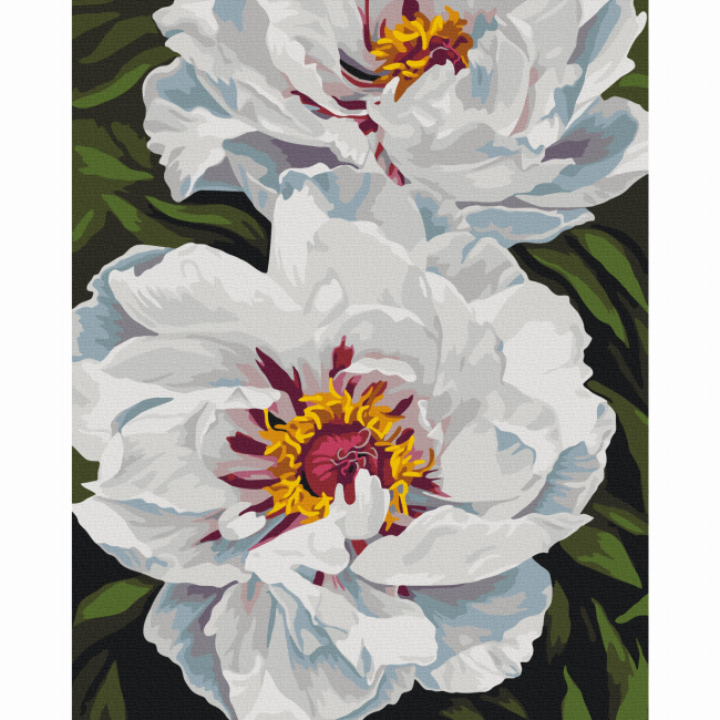 Товари для малювання - Картина за номерами Brushme Біле сяйво Анастасія Альохіна (BS54477)