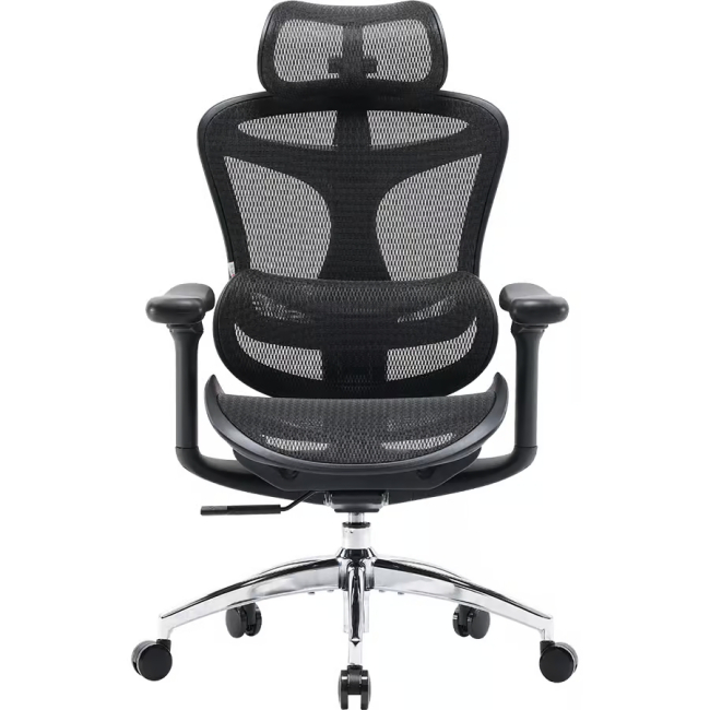 Мебель для геймеров - Офисное кресло Sihoo DORO C300L Mesh Black (DORO-C300L-A3-101)