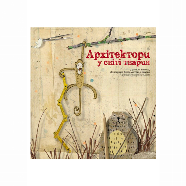 Пізнавальні книги (4-10 років) - Книжка «Архітектори у світі тварин» Даніель Нассар (9786177329083)