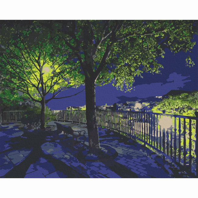 Товари для малювання - ​Картина за номерами Art Craft Нічний парк 40 х 50 см (10585-AC)