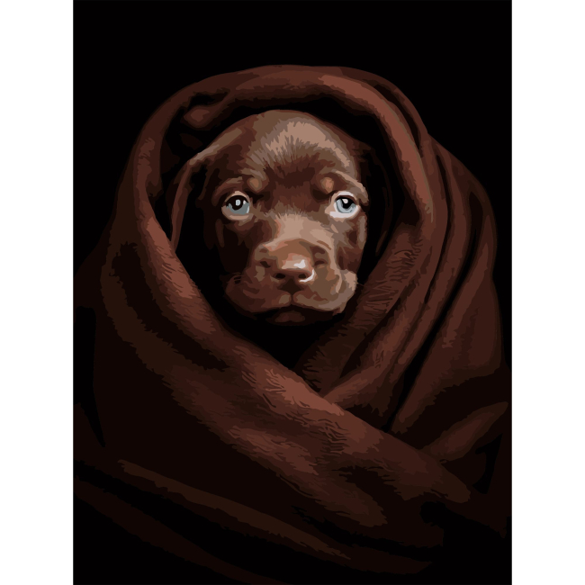 Товары для рисования - Картина по номерам Strateg Песик в пледе на черном фоне 30 х 40 см (FH-26)