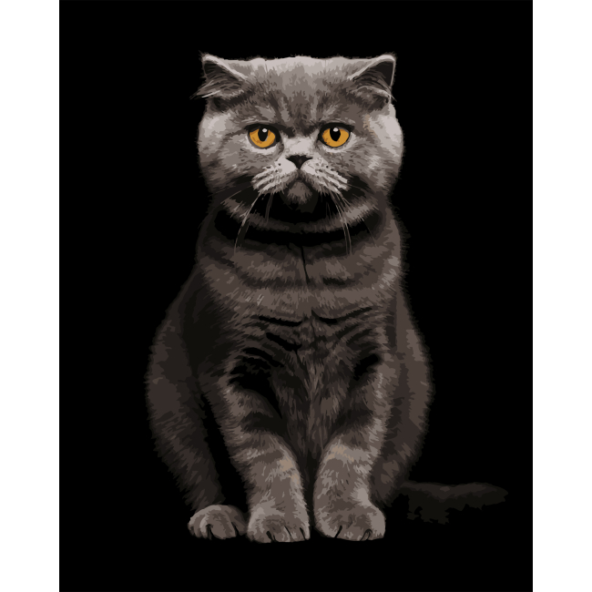 Товары для рисования - Картина по номерам Strateg Серый аристократ на черном фоне 40 х 50 см (AH1272)