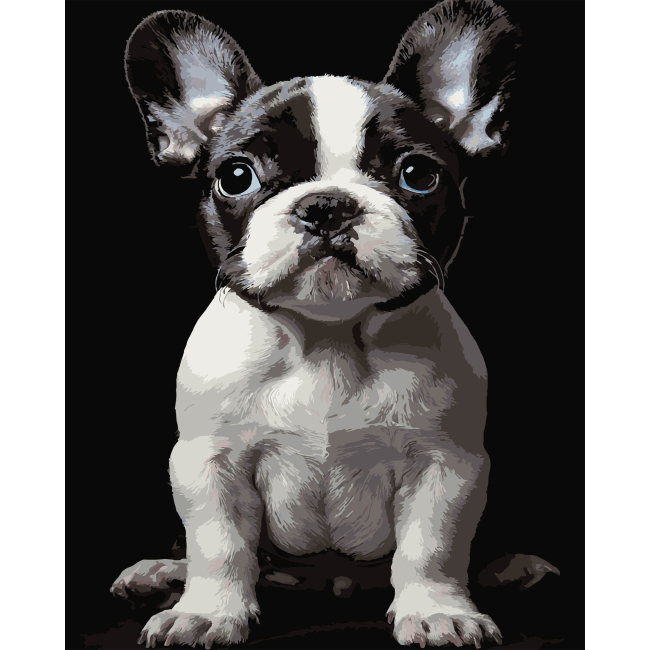 Товары для рисования - Картина по номерам Strateg Маленькая собака на черном фоне 40 х 50 см (AH1277)