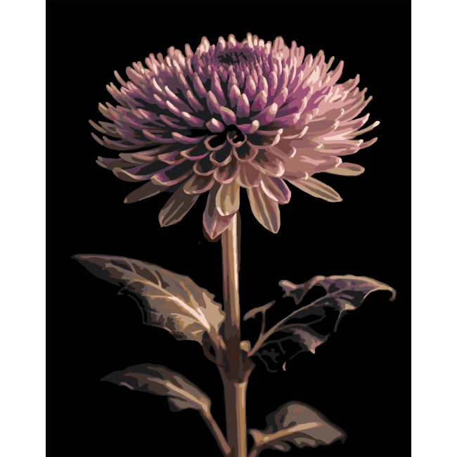 Товары для рисования - Картина по номерам Strateg Георгина на черном фоне 40 х 50 см (AH1291)