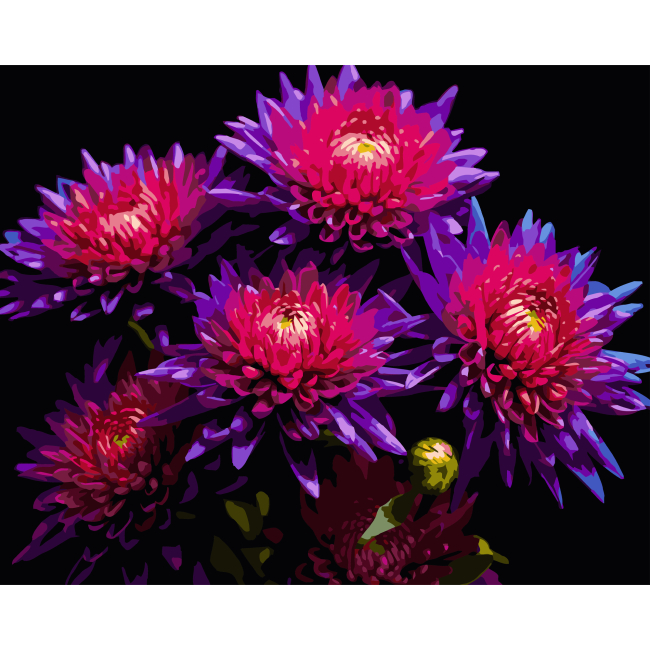 Товары для рисования - Картина по номерам Strateg Астры на черном фоне 40 х 50 см (AH1298)