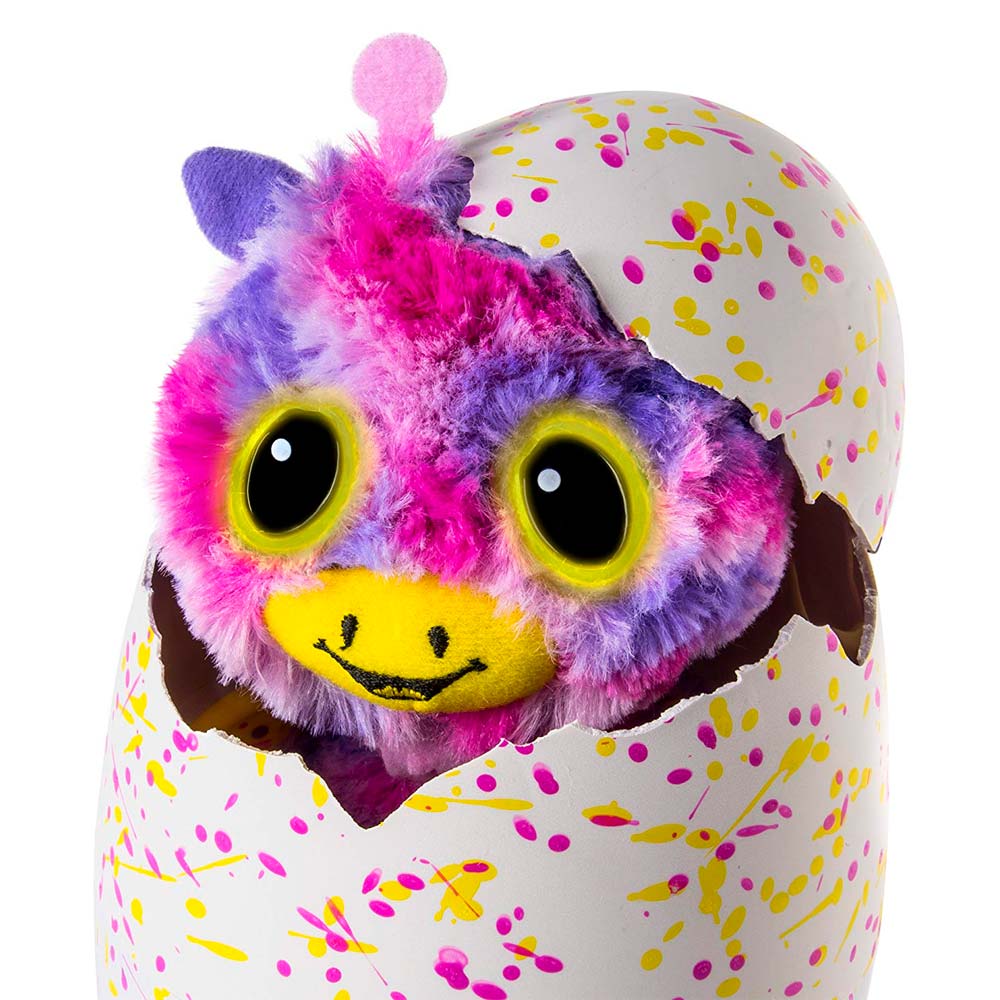 Hatchimals Hatchimals
