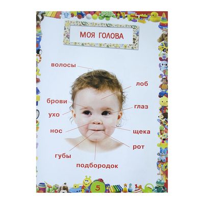 Дитячі книги - Книжка БАО Улюблена книга малюка (9789669364739)#2