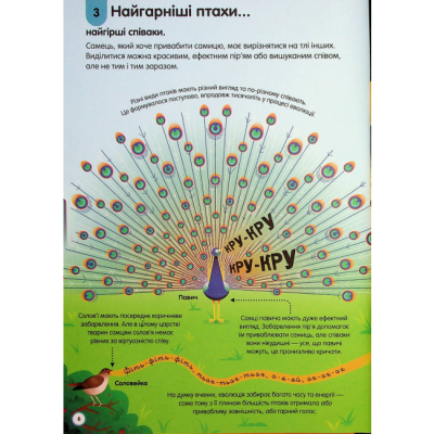 Пізнавальні книги (4-10 років) - Книжка «100 фактів про музику» (9786178286842)#4