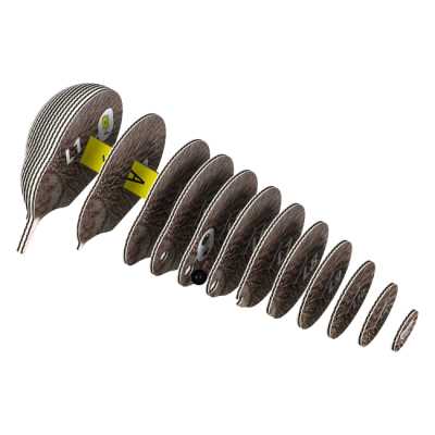 3D-пазли - 3D пазл Eugy Зоопарк Ківі (XEG-001)#2