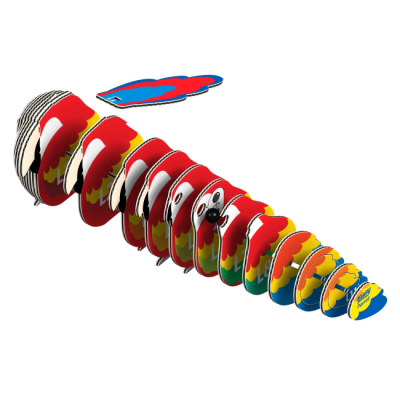 3D-пазлы - 3D пазл Eugy Зоопарк Попугай Ара (XEG-023)#2