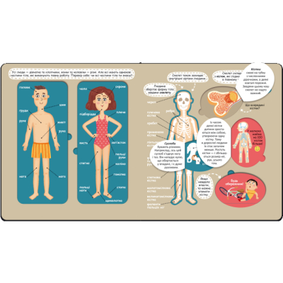Раскраски и активитибуки (2-6 лет) - Книжка «Твоє дивовижне тіло» Галина Дерипаско (9789664297117)#2