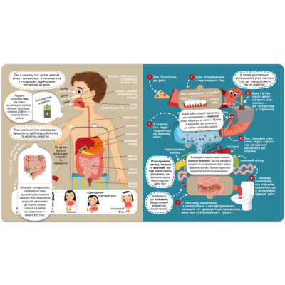 Раскраски и активитибуки (2-6 лет) - Книжка «Твоє дивовижне тіло» Галина Дерипаско (9789664297117)#4