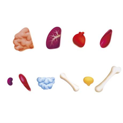 Пазлы - Пазл Hape Тело человека 60 элементов (E1635)#3