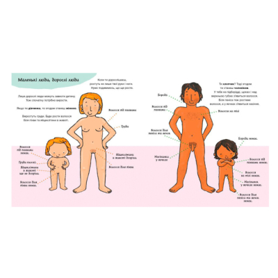 Пізнавальні книги (4-10 років) - Книжка «Дітям про інтимне. Звідки беруться діти?» Пауліна Ауд (9786170973337)#3