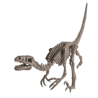 Научные игры, фокусы и опыты - Набор для исследования 4M Скелет велоцираптора (00-13234)#3