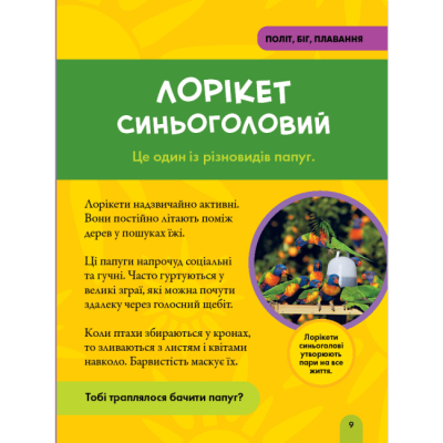 Пізнавальні книги (4-10 років) - Книжка «National Geographic. Моя перша енциклопедія. Птахи» Кетрін Г'юз (9786171600782)#3