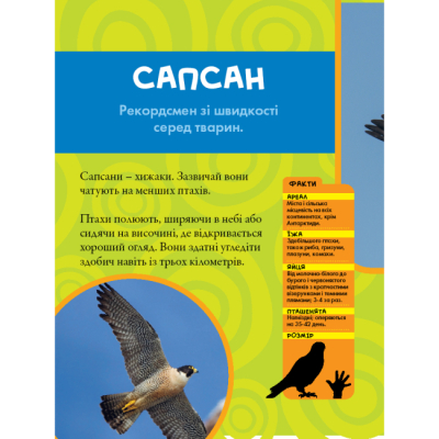 Пізнавальні книги (4-10 років) - Книжка «National Geographic. Моя перша енциклопедія. Птахи» Кетрін Г'юз (9786171600782)#4