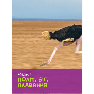 Пізнавальні книги (4-10 років) - Книжка «National Geographic. Моя перша енциклопедія. Птахи» Кетрін Г'юз (9786171600782)#8