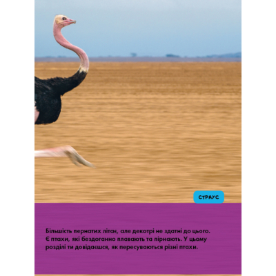 Пізнавальні книги (4-10 років) - Книжка «National Geographic. Моя перша енциклопедія. Птахи» Кетрін Г'юз (9786171600782)#9