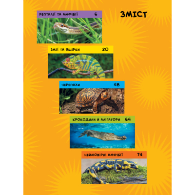 Пізнавальні книги (4-10 років) - Книжка «National Geographic. Моя перша енциклопедія. Рептилії та амфібії» Кетрін Г'юз (9786171600799)#2