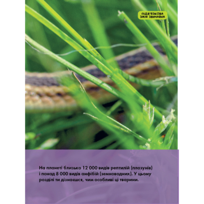 Пізнавальні книги (4-10 років) - Книжка «National Geographic. Моя перша енциклопедія. Рептилії та амфібії» Кетрін Г'юз (9786171600799)#4