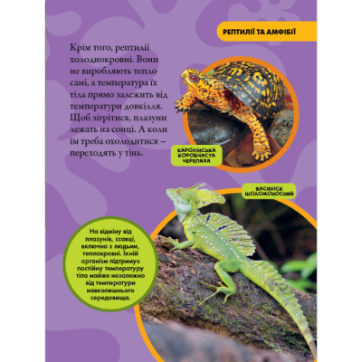 Пізнавальні книги (4-10 років) - Книжка «National Geographic. Моя перша енциклопедія. Рептилії та амфібії» Кетрін Г'юз (9786171600799)#6