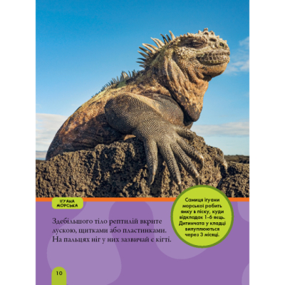 Пізнавальні книги (4-10 років) - Книжка «National Geographic. Моя перша енциклопедія. Рептилії та амфібії» Кетрін Г'юз (9786171600799)#7