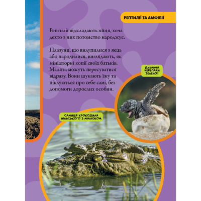 Пізнавальні книги (4-10 років) - Книжка «National Geographic. Моя перша енциклопедія. Рептилії та амфібії» Кетрін Г'юз (9786171600799)#8