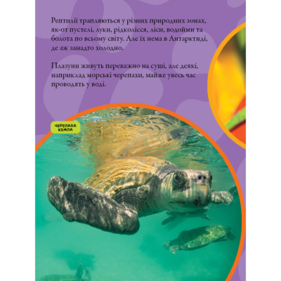 Пізнавальні книги (4-10 років) - Книжка «National Geographic. Моя перша енциклопедія. Рептилії та амфібії» Кетрін Г'юз (9786171600799)#9