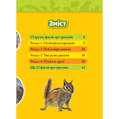 Познавательные книги (4-10 лет) - Книжка «Шкряб! 100 цікавих фактів про гризунів» Роуз Девідсон (9786171600805)#2