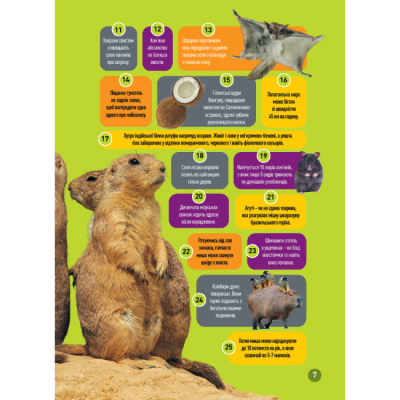Познавательные книги (4-10 лет) - Книжка «Шкряб! 100 цікавих фактів про гризунів» Роуз Девідсон (9786171600805)#4