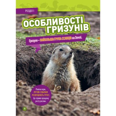 Познавательные книги (4-10 лет) - Книжка «Шкряб! 100 цікавих фактів про гризунів» Роуз Девідсон (9786171600805)#5