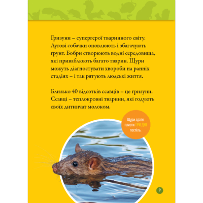 Познавательные книги (4-10 лет) - Книжка «Шкряб! 100 цікавих фактів про гризунів» Роуз Девідсон (9786171600805)#6