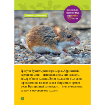 Познавательные книги (4-10 лет) - Книжка «Шкряб! 100 цікавих фактів про гризунів» Роуз Девідсон (9786171600805)#9