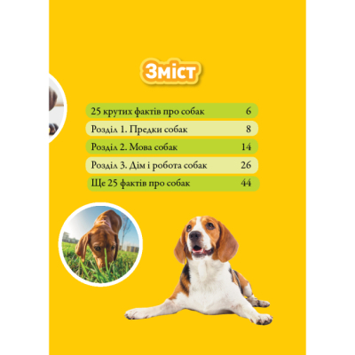 Познавательные книги (4-10 лет) - Книжка «Гав! 100 цікавих фактів про собак» Елізабет Карні (9786171600447)#2