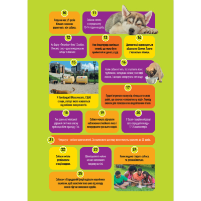 Познавательные книги (4-10 лет) - Книжка «Гав! 100 цікавих фактів про собак» Елізабет Карні (9786171600447)#4