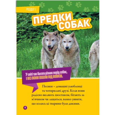 Познавательные книги (4-10 лет) - Книжка «Гав! 100 цікавих фактів про собак» Елізабет Карні (9786171600447)#5