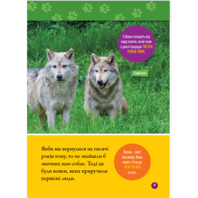 Познавательные книги (4-10 лет) - Книжка «Гав! 100 цікавих фактів про собак» Елізабет Карні (9786171600447)#6