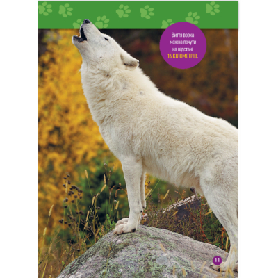 Познавательные книги (4-10 лет) - Книжка «Гав! 100 цікавих фактів про собак» Елізабет Карні (9786171600447)#8