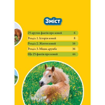 Познавательные книги (4-10 лет) - Книжка «Галопом! 100 цікавих фактів про коней» Кітсон Язинка (9786171600430)#2