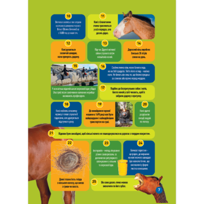 Познавательные книги (4-10 лет) - Книжка «Галопом! 100 цікавих фактів про коней» Кітсон Язинка (9786171600430)#4
