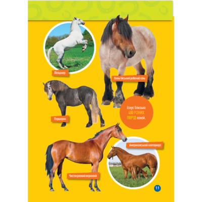 Познавательные книги (4-10 лет) - Книжка «Галопом! 100 цікавих фактів про коней» Кітсон Язинка (9786171600430)#8