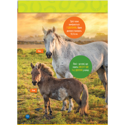 Познавательные книги (4-10 лет) - Книжка «Галопом! 100 цікавих фактів про коней» Кітсон Язинка (9786171600430)#9