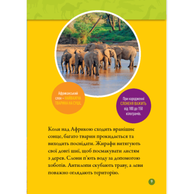 Познавательные книги (4-10 лет) - Книжка «Гррр! 100 цікавих фактів про тварин Африки» Стефані Воррен Дріммер (9786171600454)#6