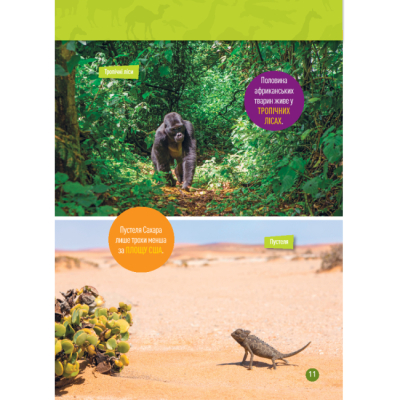 Познавательные книги (4-10 лет) - Книжка «Гррр! 100 цікавих фактів про тварин Африки» Стефані Воррен Дріммер (9786171600454)#8