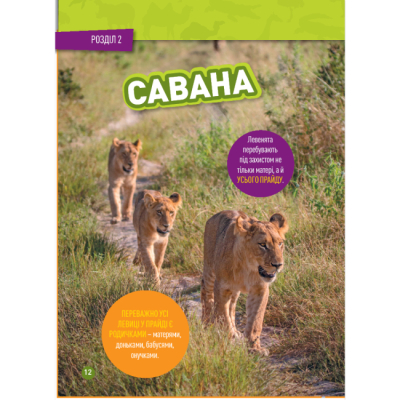 Познавательные книги (4-10 лет) - Книжка «Гррр! 100 цікавих фактів про тварин Африки» Стефані Воррен Дріммер (9786171600454)#9