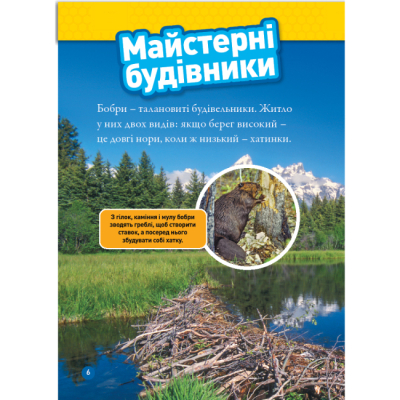 Познавательные книги (4-10 лет) - Книжка «Тварини-будівники» Ліббі Ромеро (9786171600423)#3