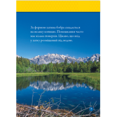 Познавательные книги (4-10 лет) - Книжка «Тварини-будівники» Ліббі Ромеро (9786171600423)#4