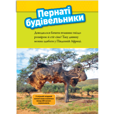 Познавательные книги (4-10 лет) - Книжка «Тварини-будівники» Ліббі Ромеро (9786171600423)#5