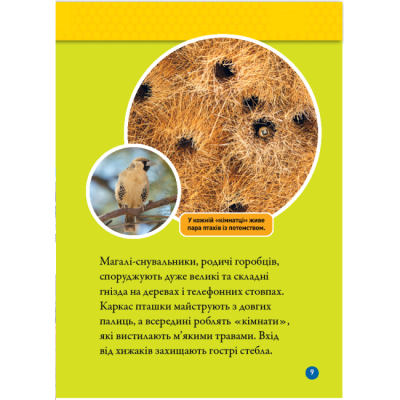 Познавательные книги (4-10 лет) - Книжка «Тварини-будівники» Ліббі Ромеро (9786171600423)#6